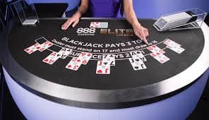 Table limits and bet placement interface on rajawali55 login
